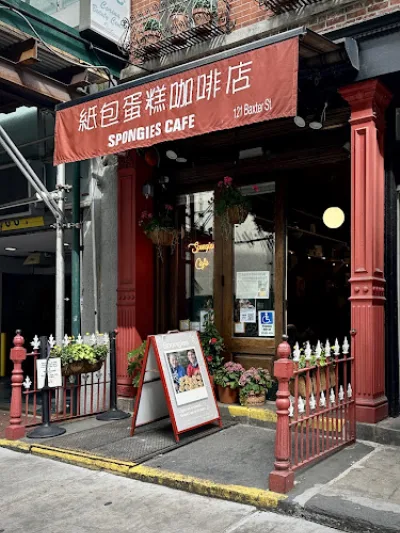 Spongies Cafe